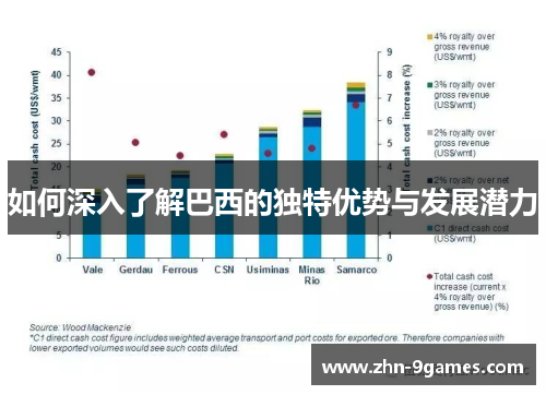 如何深入了解巴西的独特优势与发展潜力
