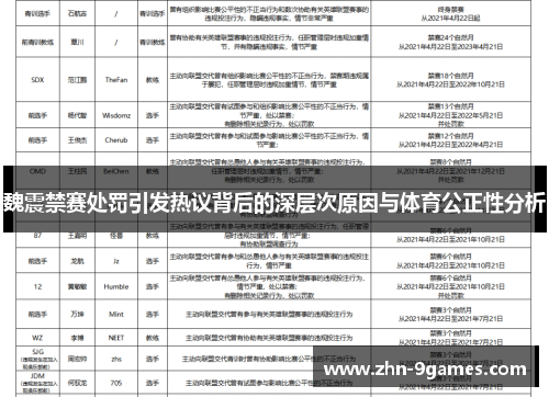 魏震禁赛处罚引发热议背后的深层次原因与体育公正性分析